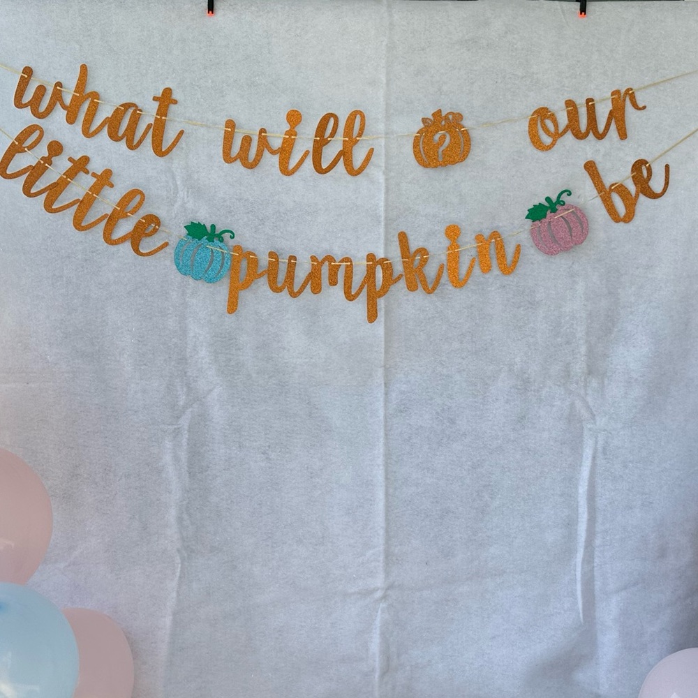 Gender Reveal Party Banner - Orange, Pink, Blue